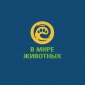 Animal Family HD меняет свой облик.